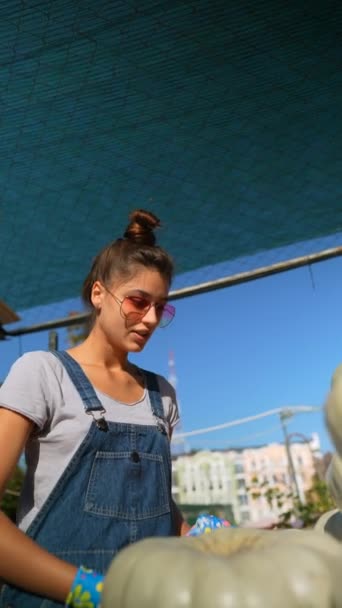 Markette Genç Bir Bayan Çiftçi Seçtiği Balkabaklarını Ilgi Çekici Bir — Stok video