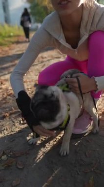 Güneşli bir sonbahar gününde ışıl ışıl genç bir kadın köpeğiyle oynarken görülüyor. Yüksek kalite 4k görüntü