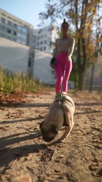 Spor Giyim Sektöründe Genç Bir Kadın Bir Sonbahar Günü Köpeğiyle — Stok video