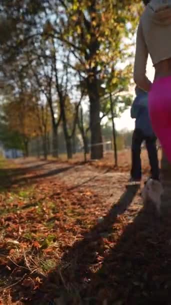Egy Gyönyörű Napon Egy Élénk Fiatal Hölgy Rohangál Mopszli Kutyájával — Stock videók