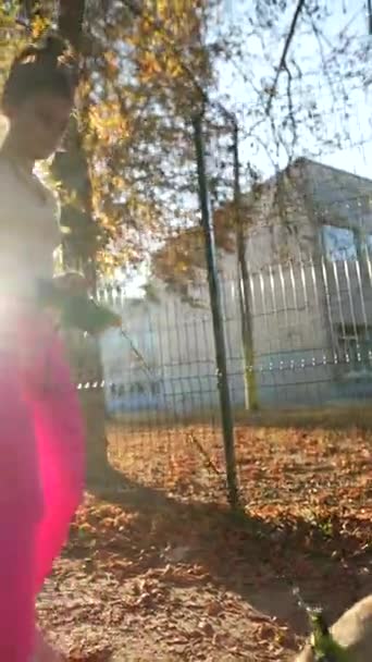 Höstmorgon Tar Livlig Ung Dam Promenad Med Sin Hund Högkvalitativ — Stockvideo