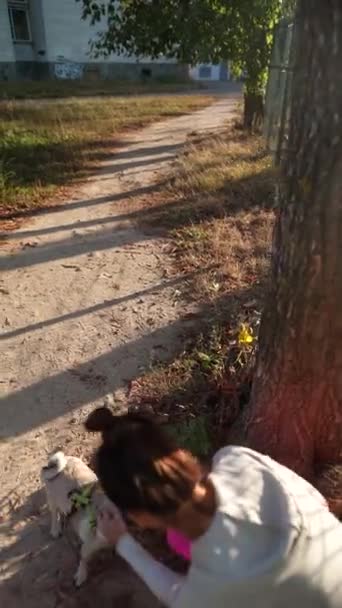 Mitt Höstlöven Parken Delar Ung Kvinna Och Hennes Hund Ett — Stockvideo