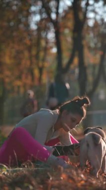 Yanında köpeğiyle, canlı atletik giysiler içindeki bir kız sonbahar parkında yürüyüşe çıkar. Yüksek kalite 4k görüntü