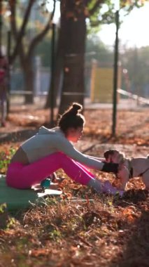 Parkta, genç bir bayan sarı yaprakların arasında oturmuş pug köpeğiyle oynuyor. Yüksek kalite 4k görüntü