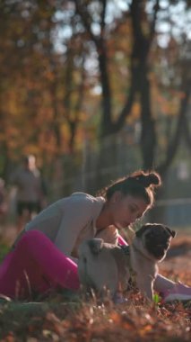 Parlak spor kıyafetleri giymiş genç bir bayan, sonbahar parkında köpeğiyle geziyor. Yüksek kalite 4k görüntü
