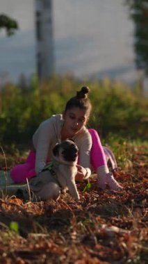 Parkta sabah yürüyüşü eğlenceli bir maceraya dönüşüyor. Genç bir kadın, sonbahar ortamında köpeğiyle eğleniyor. Yüksek kalite 4k görüntü