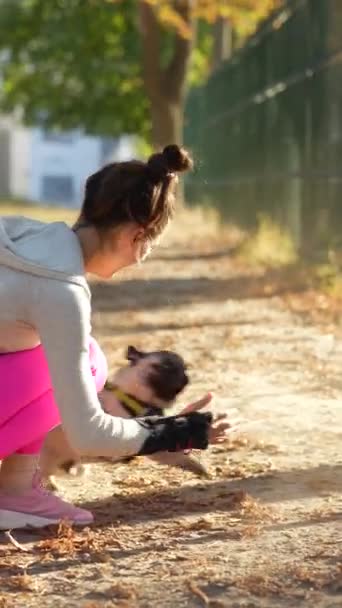 Sıcak Sonbahar Günışığında Çekici Genç Bir Kadın Köpeğiyle Oynuyor Yüksek — Stok video