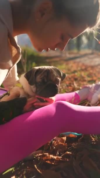 Осеннем Парке Молодая Женщина Спортивном Костюме Играет Собакой Мопсом Высококачественные — стоковое видео