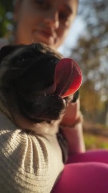 Güneşli bir sabah, sıcakkanlılıkla dolu genç bir kadın parkta köpeğiyle oynar. Yüksek kalite 4k görüntü