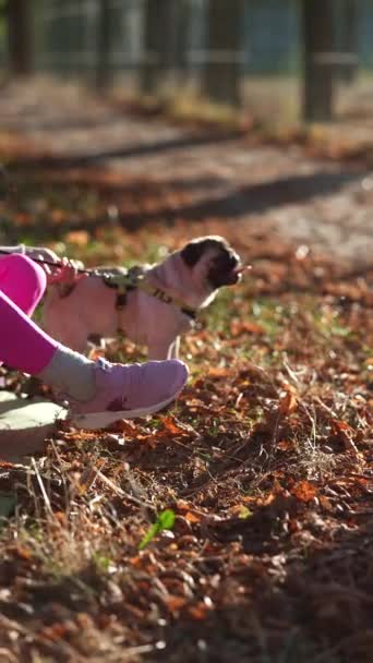 Herbstlichen Ambiente Spielt Eine Sportliche Junge Dame Mit Ihrem Mops — Stockvideo