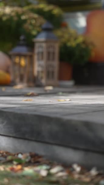 Sonnenstrahlen Auf Einem Holzboden Herbstpark Hochwertiges Filmmaterial — Stockvideo