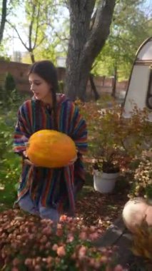 Göz kamaştırıcı bir genç bayan, hippi tarzı giyinmiş, güneşli bir sonbahar gününde bir balkabağı tutuyor. Yüksek kalite 4k görüntü