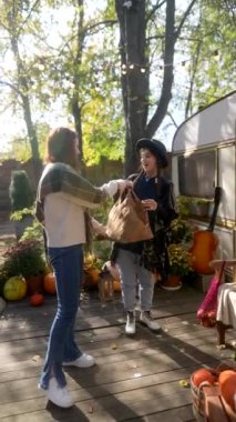 Hippiler gibi giyinmiş güzel genç bayanlar güneşli bir sonbahar gününde dans ediyorlar. Yüksek kalite 4k görüntü