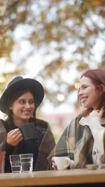 Dua Wanita Cantik Dalam Hubungan Sesama Jenis Bersantai Teras Luar — Stok Video