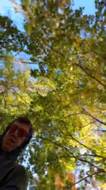 Sonbahar parkında modayı belirleyen adam aşağıdan ağaç dallarına ateş ediyor. Yüksek kalite 4k görüntü