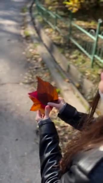 Die Freude Herbstlichen Charme Der Parks Das Blatt Vom Baum — Stockvideo