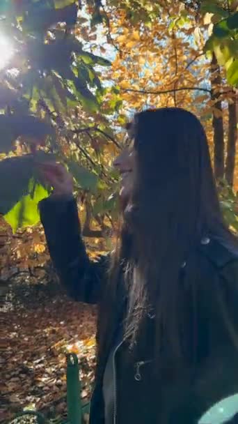 Sonbahar Parklarının Güzelliğinin Tadını Çıkarıyorum Ağaçtan Bir Yaprak Tutuyorum Yüksek — Stok video