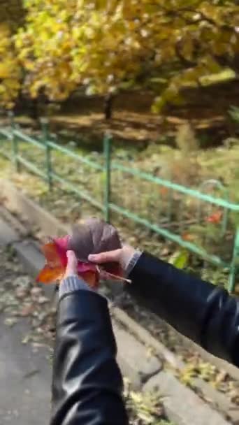 Geniet Van Schoonheid Van Het Herfstpark Met Een Boomblad Hand — Stockvideo