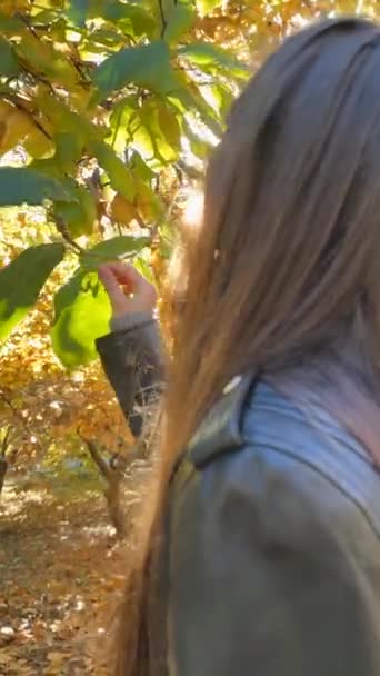 秋の公園を満喫し 木から葉を保持しています 高品質の4K映像 — ストック動画