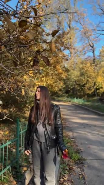 秋の公園の美しさを楽しみ 木から葉を保持しています 高品質の4K映像 — ストック動画