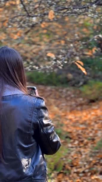 秋の公園で散歩中に若い女性の後ろからシーンをキャプチャします 高品質の4K映像 — ストック動画