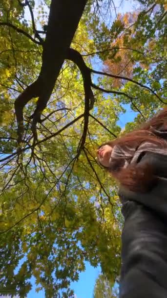 Modische Dame Herbstpark Die Aus Dem Tiefflug Äste Einfängt Hochwertiges — Stockvideo