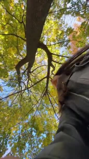Élégante Femelle Filmant Des Branches Arbres Depuis Une Vue Sol — Video