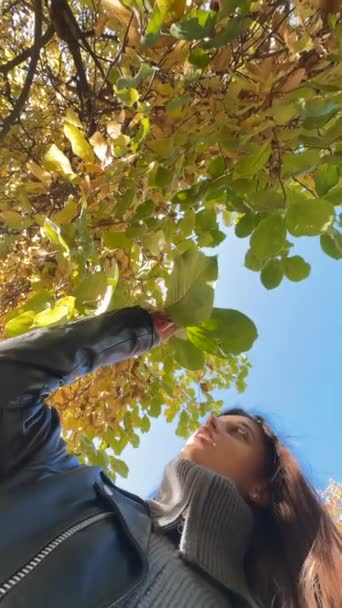 Вирощування Чарівності Осіннього Парку Дерев Яним Листком Руці Високоякісні Кадри — стокове відео