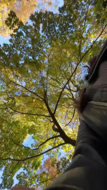 秋の公園の下から枝を撮影するファッションフォワードの若い女性 高品質の4K映像 — ストック動画