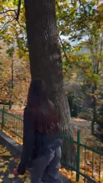 Delighting Autumn Parks Charm Holding Leaf Tree High Quality Footage — Stock Video