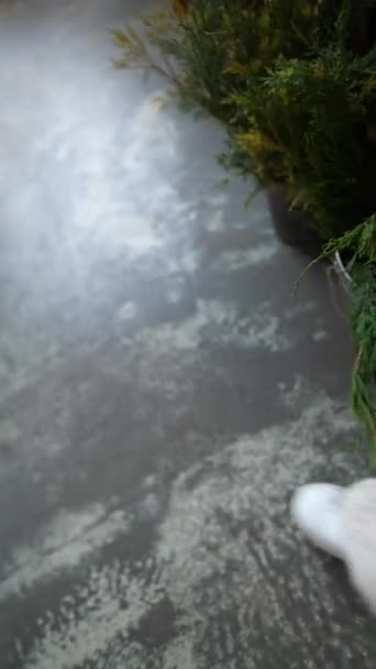 店の装飾カウンターで展示されたお祝いのクリスマスの装飾品 高品質の4K映像 — ストック動画