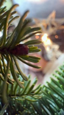 Daha düşük perspektifli bir lens, Yeni Yıl dekorasyonu ve Noel çelengi yapma sürecini yansıtıyor. Yüksek kalite 4k görüntü