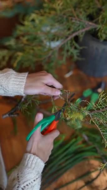 크리스마스 화환을 만드는 숙녀의 우아함과 매력을 포착하는 시리즈 고품질 — 비디오