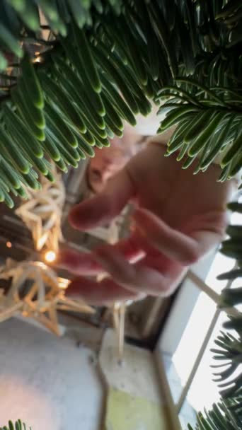 在冷杉树枝之间 你能感觉到圣诞花环的喜庆气氛 高质量的4K镜头 — 图库视频影像