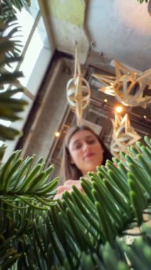 Noel ağacının dalları arasında, bir çelenk yapmanın yaratıcı atmosferi görülebilir. Yüksek kalite 4k görüntü