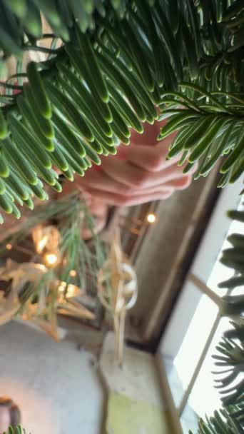 소나무 사이에서 크리스마스 화환을 만드는 정신은 분명하다 고품질 — 비디오