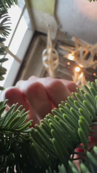 Mijlocul Ramurilor Pin Ambianța Face Coroană Crăciun Este Vizibilă Înregistrare — Videoclip de stoc