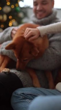 Noel atmosferinde tatlı köpeğiyle oynayan bir adam tatil ruhunu kucaklıyor. Yüksek kalite 4k görüntü