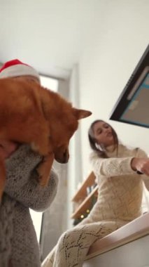 Köpekleriyle birlikte, genç bir çift dairelerindeki Noel ağacının yanında duruyor. Yüksek kalite 4k görüntü