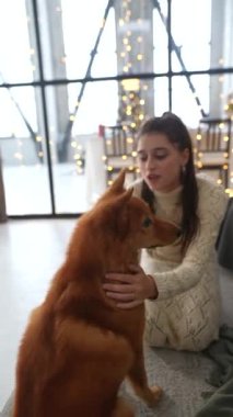 Noel ağacının yanında, büyüleyici bir çift ve sevimli köpekleri eğlenceli etkileşimler paylaşıyorlar. Yüksek kalite 4k görüntü