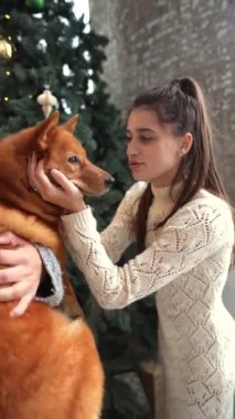 Noel 'in şenlikli ortamında, sevimli genç bir bayan sevimli köpeğiyle eğleniyor. Yüksek kalite 4k görüntü