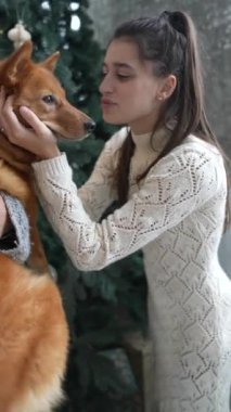 Noel atmosferinin ortasında sevimli köpeğiyle oynayan güzel genç bir kadın, bayram ruhunu kucaklıyor. Yüksek kalite 4k görüntü