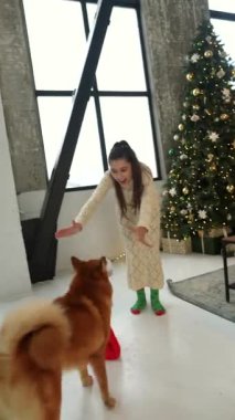 Noel ağacının yanında köpekleriyle oynayan bir çift, bir erkek ve bir kızdan oluşan, bayram ruhunu kucaklıyor. Yüksek kalite 4k görüntü
