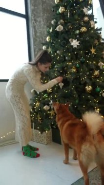  Sadık köpeğiyle birlikte bir kız Noel hediyelerini sevgiyle hazırlıyor. Yüksek kalite 4k görüntü