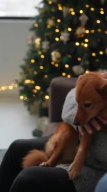Noel atmosferinde sevimli köpeğiyle eğlenen bir adam neşeli anılar yaratır. Yüksek kalite 4k görüntü