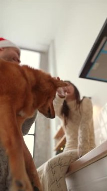 Evlerinde, genç bir çift ve köpekleri Noel ağacının etrafında toplanıyorlar. Yüksek kalite 4k görüntü