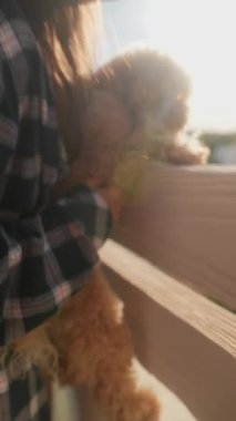 Ekose gömlekli, tüylü köpekli bir kız güneşli bir günün tadını çıkarıyor, samimi bir arkadaşlık imajı yaratıyor.