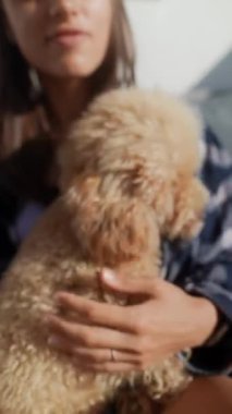 Genç bir kadın rahat bir evde rahat bir kanepede otururken tüylü köpeğini neşeyle kucaklıyor.
