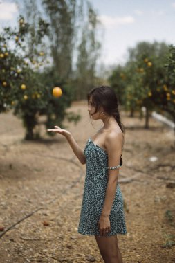 Bir kadın mutlu bir şekilde portakalları güneşli bir narenciye bahçesine atıyor. Etrafı açık havada mavi elbiseleriyle çevrili.