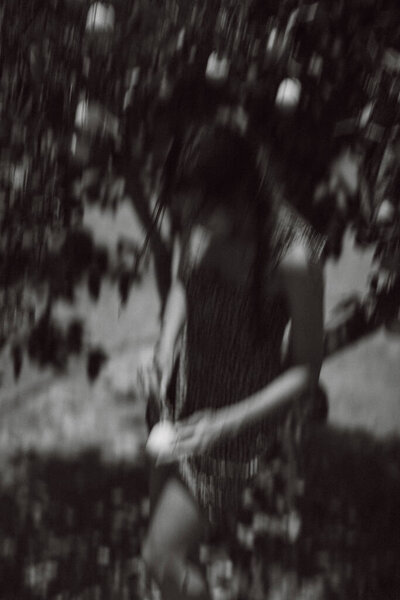 Black White Image Person Picking Fruit Tree Tranquil Environment Blurred Stock Picture